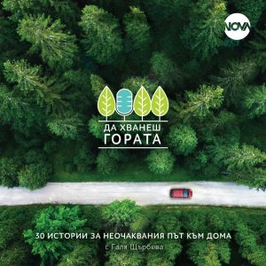 Да хванеш гората - Пътеводител