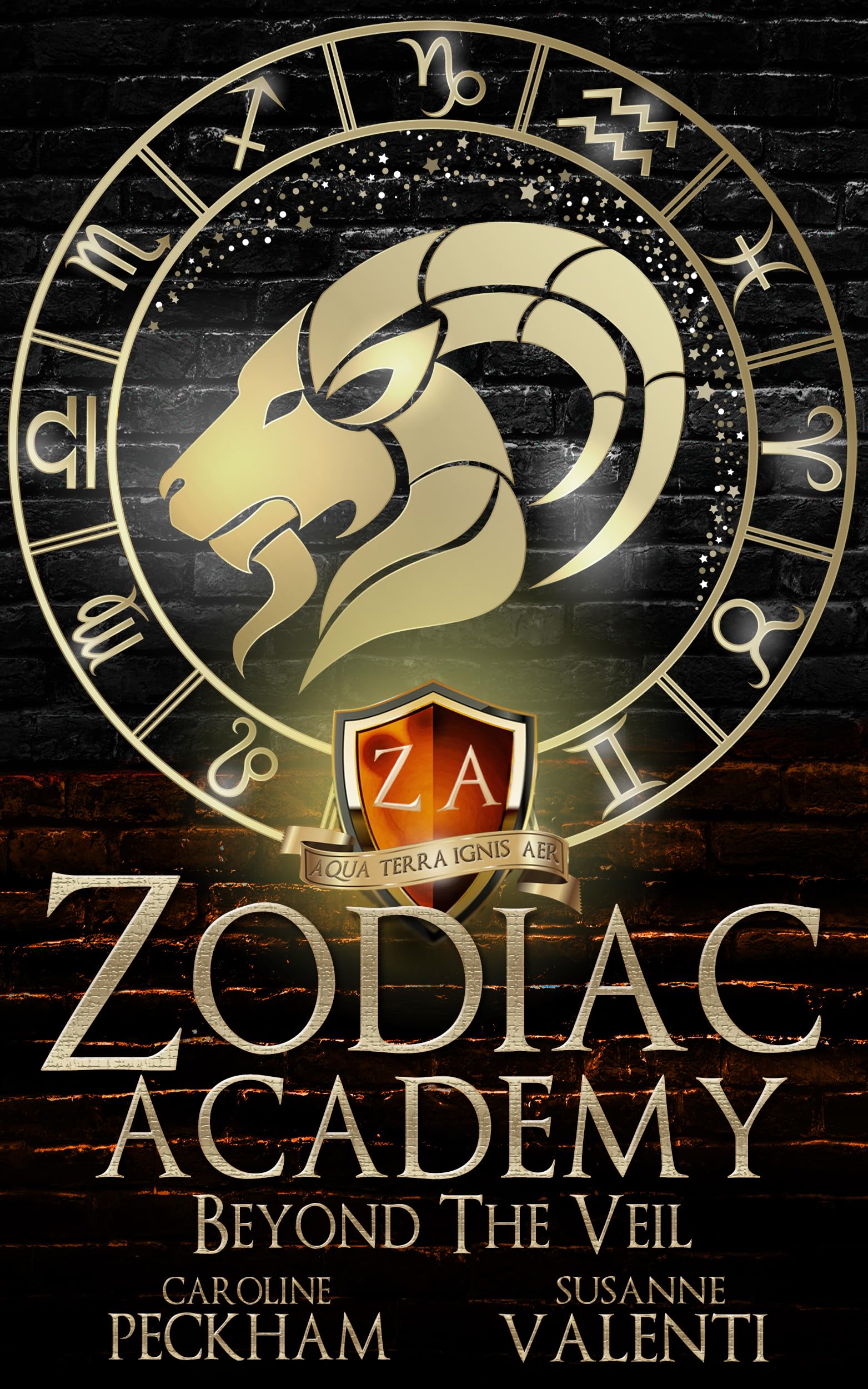 Zodiac Academy - Beyond the Veil - Book 8.5