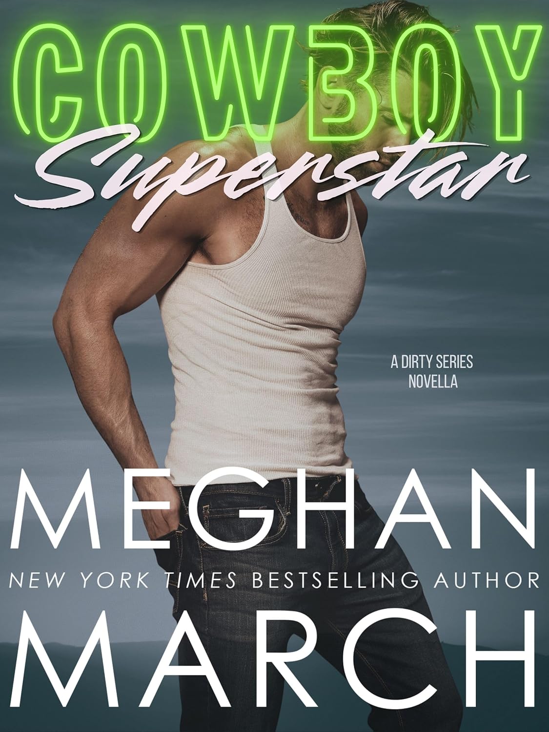 Cowboy Superstar: A Dirty Series Novella