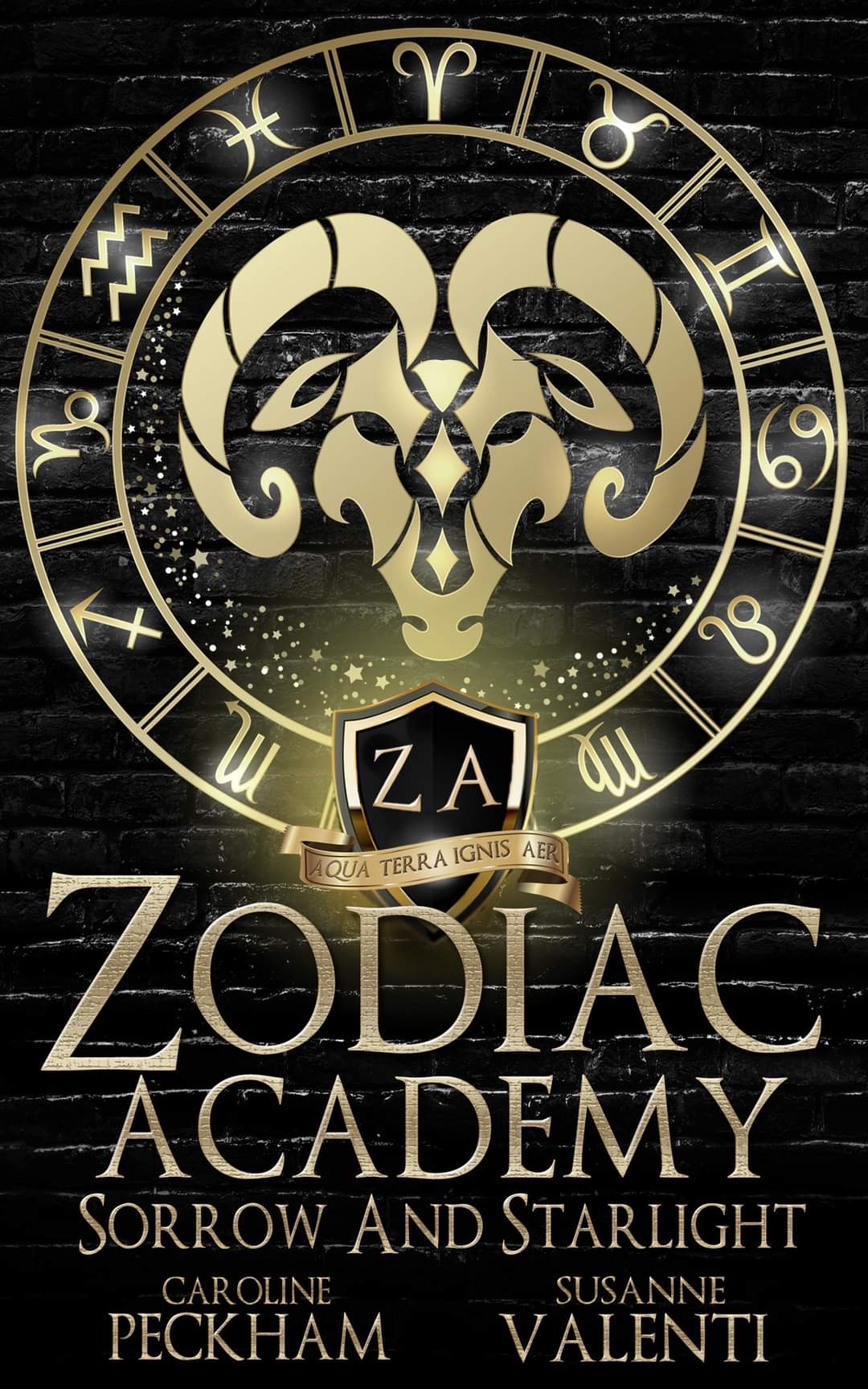 Zodiac Academy - Sorrow and Starlight - Book 8