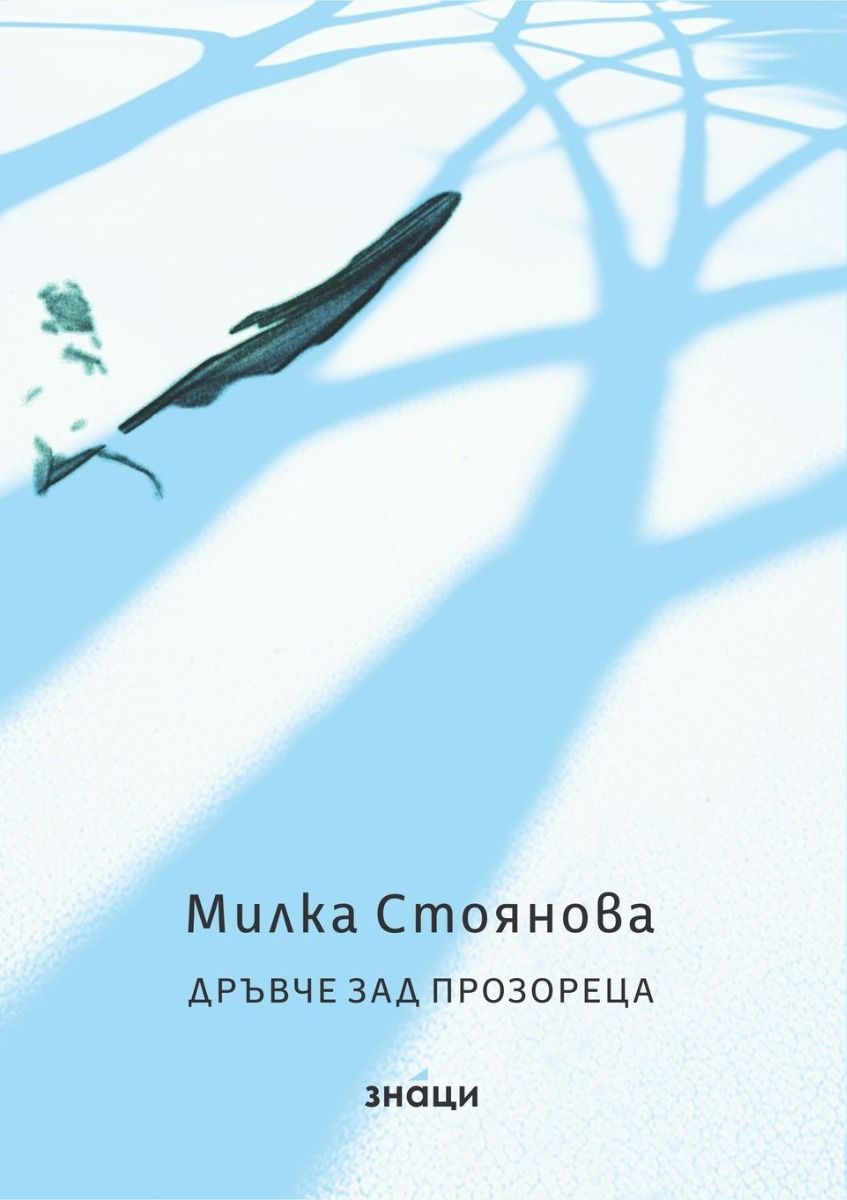 Дървце зад прозореца