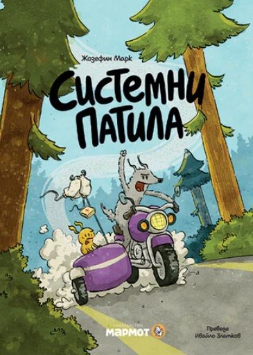 Системни патила