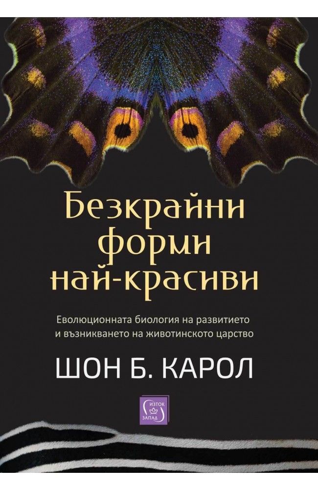 Безкрайни форми най-красиви
