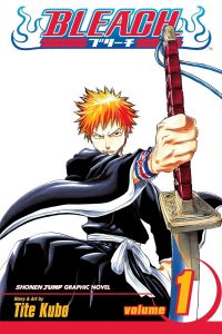 Bleach - Vol. 1