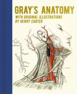 Gray's Anatomy - With Original Illustrations by Henry Carter