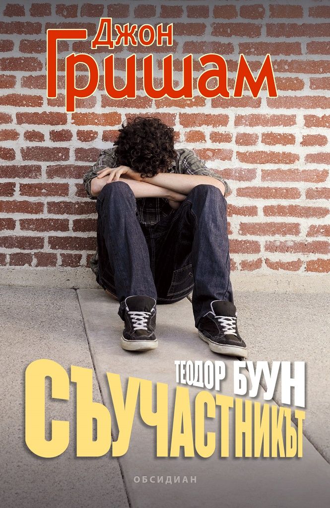 Съучастникът