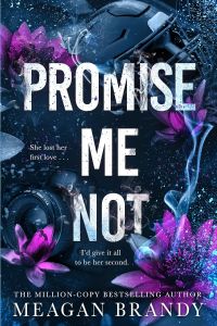 Promise Me Not - Book 2