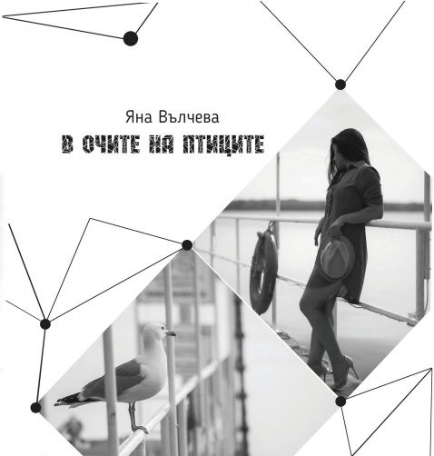 В очите на птиците